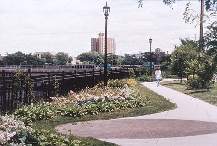 stevens square planting